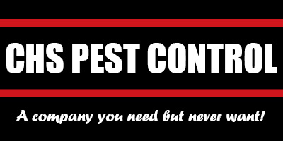 Pest control in Bromley and South London